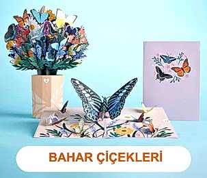 baharcicekleri